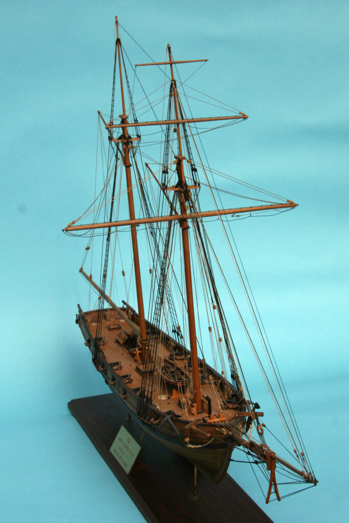 Model of schooner Fly - overall view from starboard bow